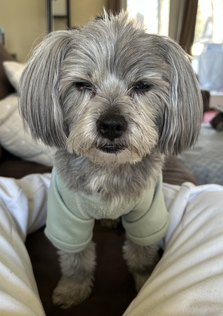 Good morning my favorite X’s 🫵

It’s a work day &amp; a snow day &amp; that’s makes me a very happy being 💃

If your pets feel safe with another human being please don’t take it personally 🙏 

Being jealous or insecure about an animals affection toward another human being is a