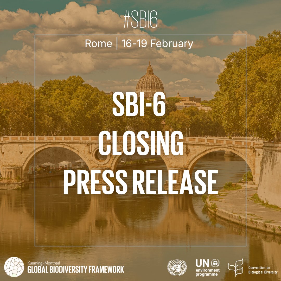 UNBiodiversity's tweet photo. At #SBI6, Parties to the CBD reached broad agreement on key enablers for implementing the #KMGBF including finance, gender equality, capacity-building, and cooperation — paving the way toward #COP17 and the first global review of progress.

Press release👇
https://t.co/qYlyRckwv2 https://t.co/mttYMFOU8s