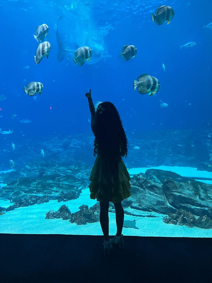 Finn and Lyn few tweets —— a little surprises https://t.co/Rot6NQ2tjI