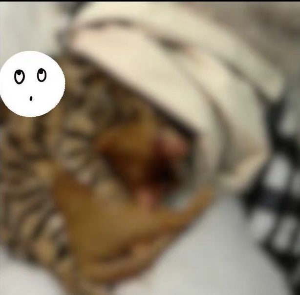 Littlecorn tweet media