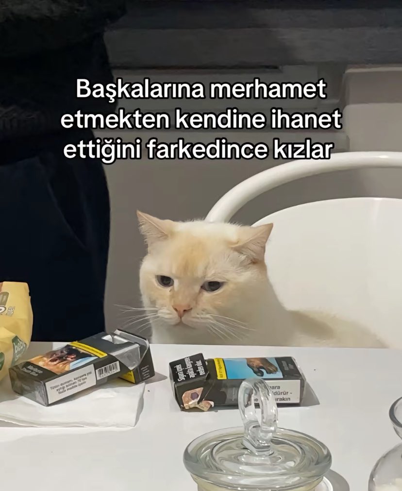 onondert's tweet photo. https://t.co/l47vMVamDg
