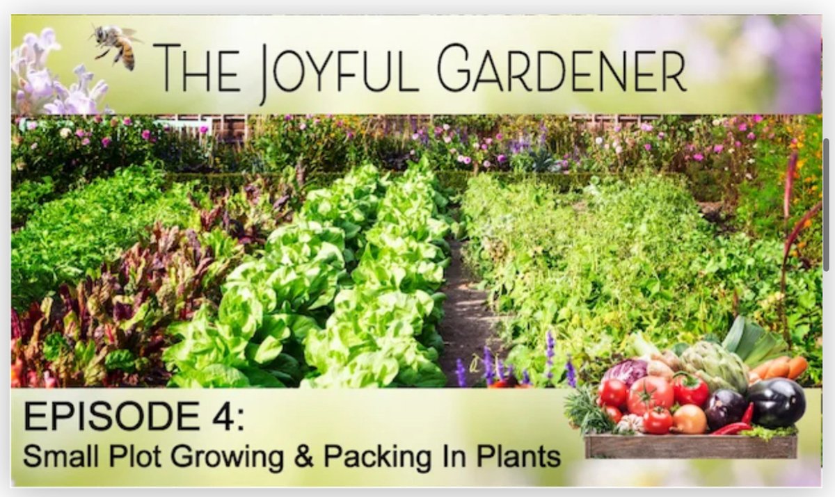 🪴Double Your Harvest in Half the Space
‼️Replay Weekend in NOW! 

📢 Great news! Now through February 22nd, you can catch up on any episodes you missed or rewatch the entire docuseries—as much as you want!

 👉 ift.tt/hmXlxMd

Stop eating “sad” grocery store veggies. …