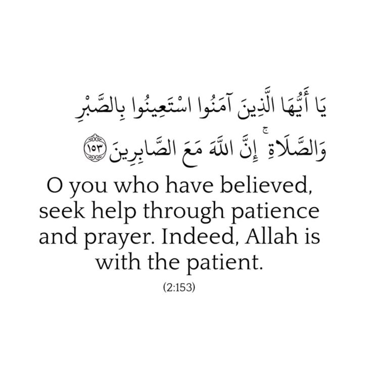 Muslim__Ummah_'s tweet image. 