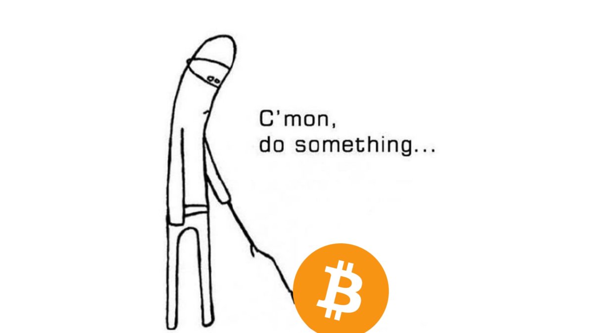 Z crypto - زي كريبتو ⚡ tweet media