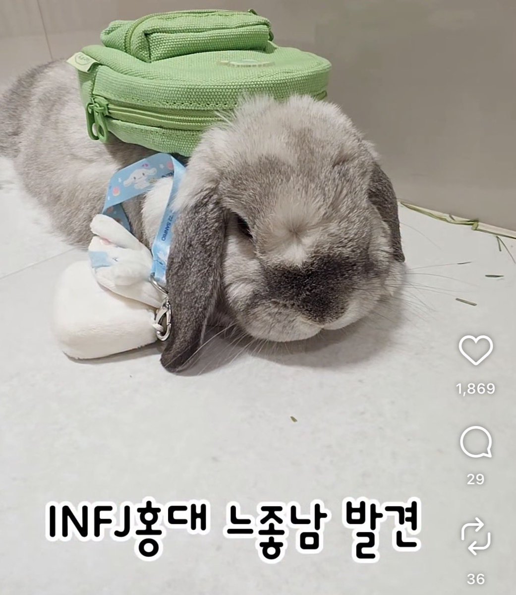 어햄이 tweet media