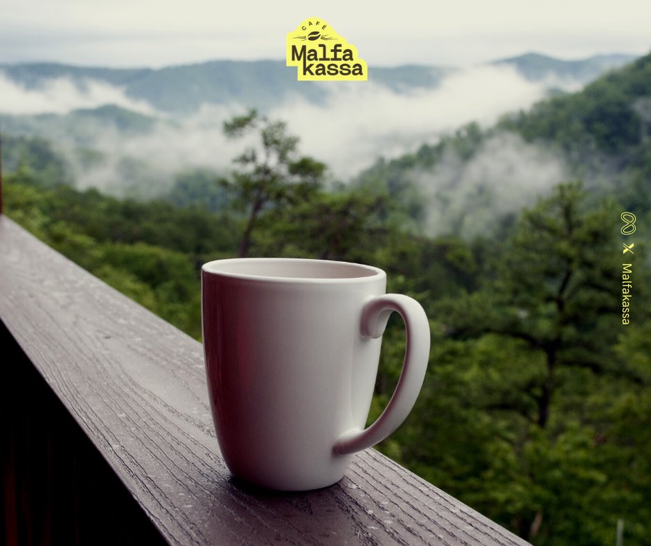 Malfakassa tweet media