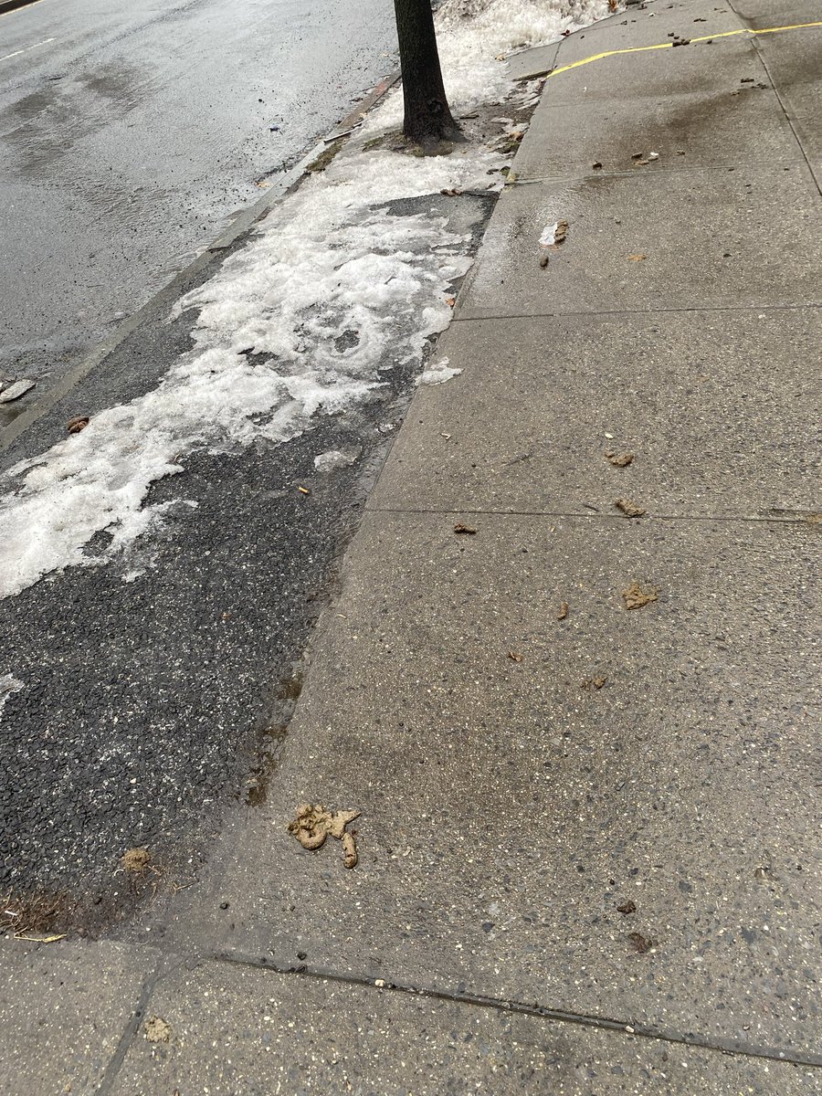 RickiStephens's tweet photo. I know you just got here and still learning your new job but ….clean this 💩 up @NYCMayor https://t.co/tfh7XEdsqJ