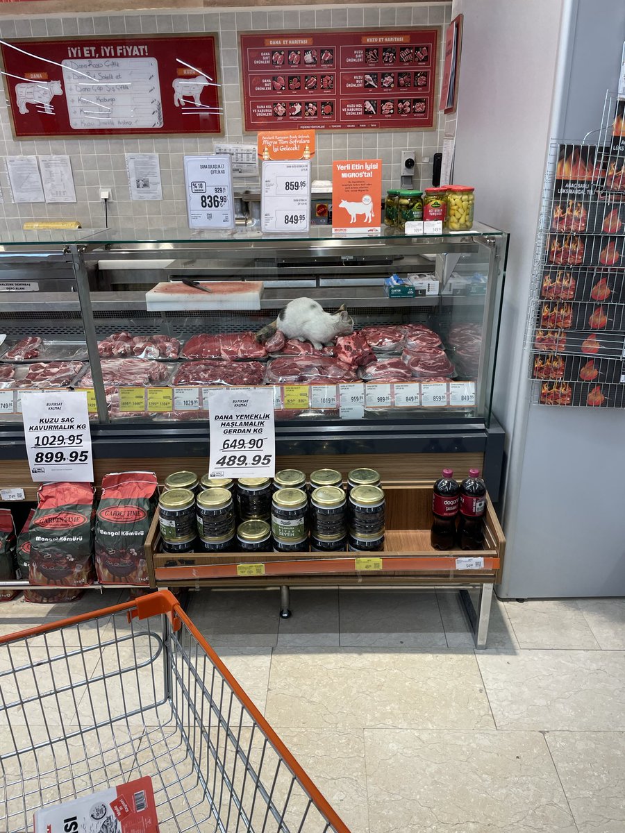 Kapıda güvenlik ve içeride personeller olduğu halde bu gördüğüm görüntü karşısında bir daha Migros’tan alışveriş yapmayacağım. 

Söyleyecek bir sözünüz var mı <a href="/Migros_Turkiye/">Migros Türkiye</a>

Bu işin bir denetimi var mı <a href="/kirikkalebld71/">Kırıkkale Belediyesi🇹🇷</a>