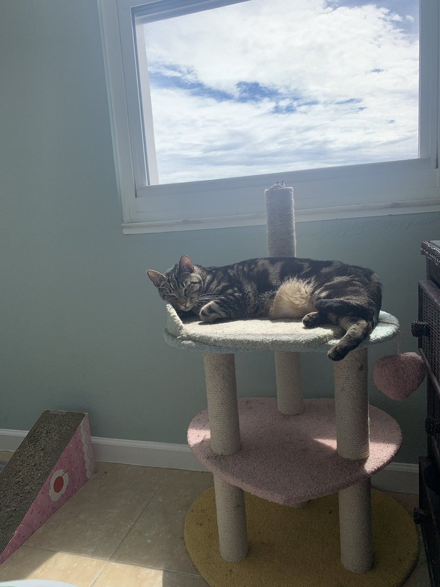 IttsBB 🐾💚 tweet media