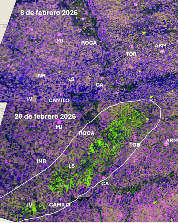Luciano Ascheri tweet media