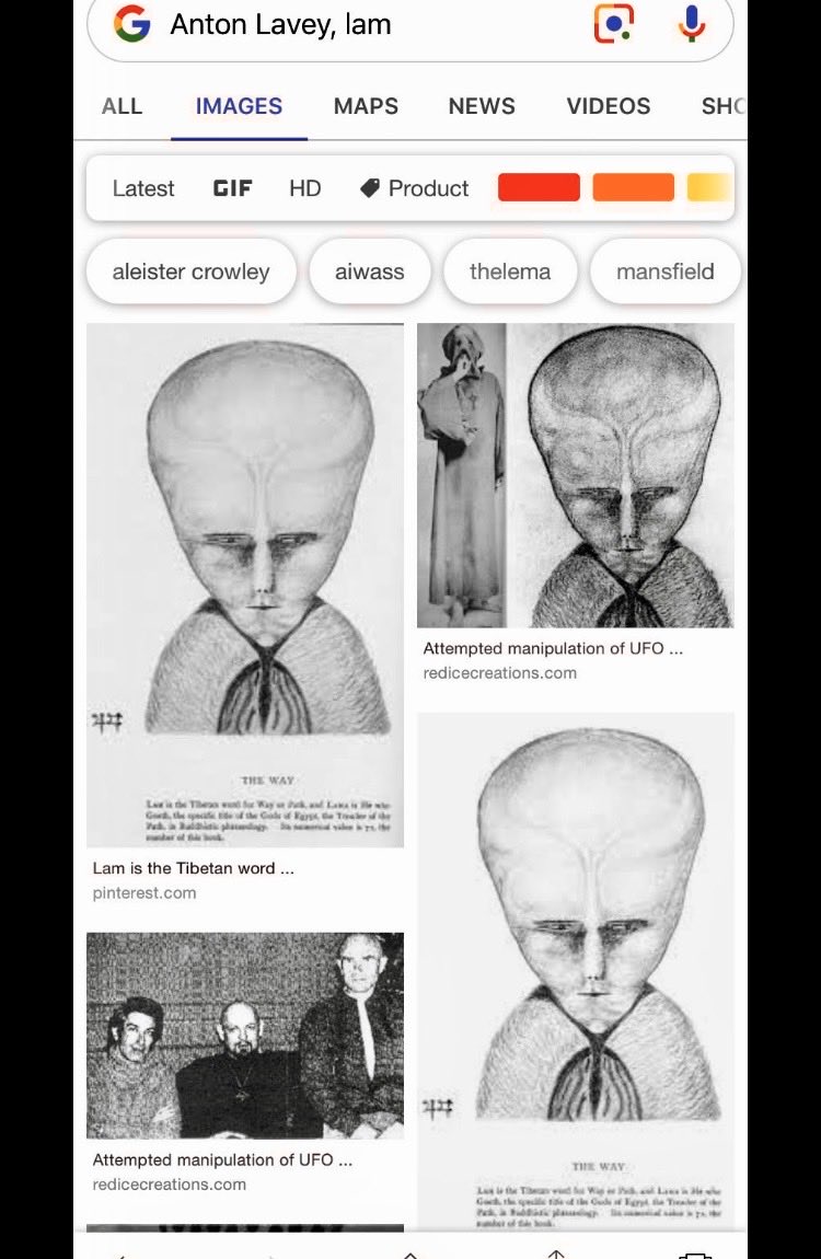 ItsMe202234's tweet image. You all wanted #GreyAliens! Sorry people! 🛸👽 #LAM