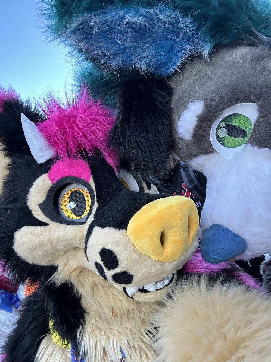 🌷Rain 🔜 FWA 🌷 tweet media