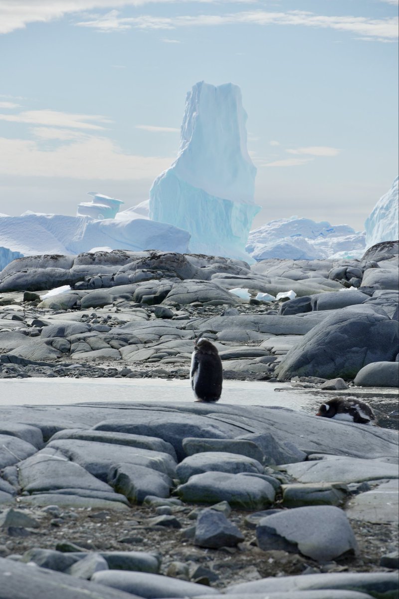 RalstonVP tweet media