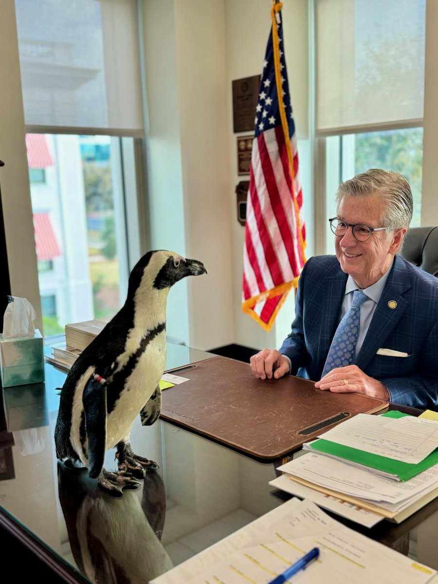 FL Senate Majority tweet media