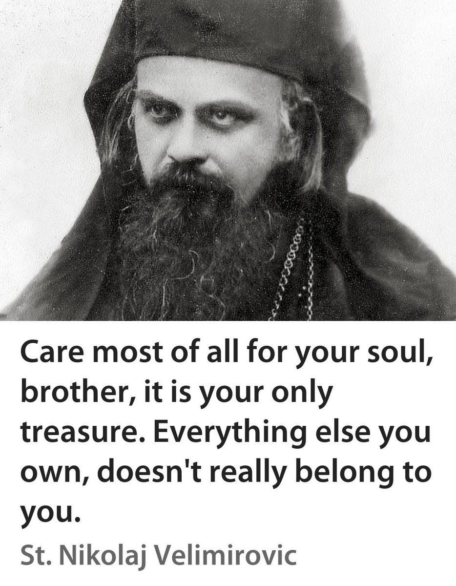 Jonah In Wales 🦊 tweet media