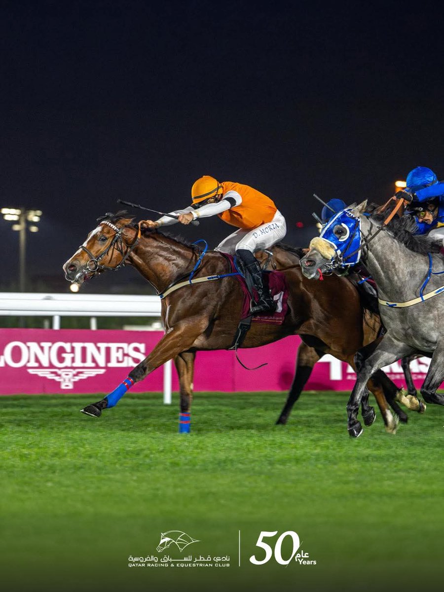 knockcross's tweet photo. 19/02/2026 THANKS FOREVER wins in Qatar. Second winner of the week for Knockcross Stud 🏇🥇🇶🇦 https://t.co/i090VgvIVP