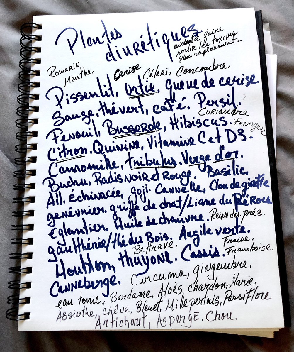 Reine des prés 👸🏻🎲🌾 tweet media