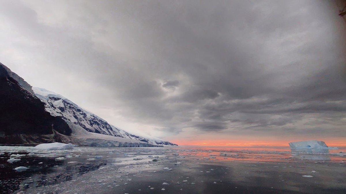 Polar POD Expédition tweet media