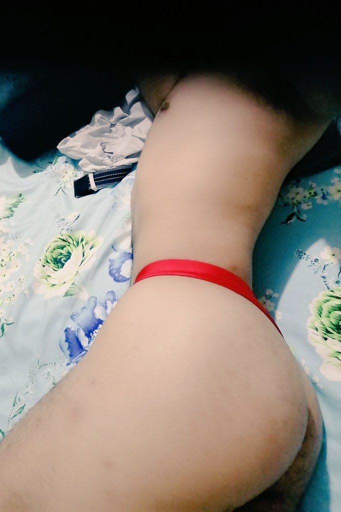 Mr. Rabbit🇵🇪🐰 tweet media