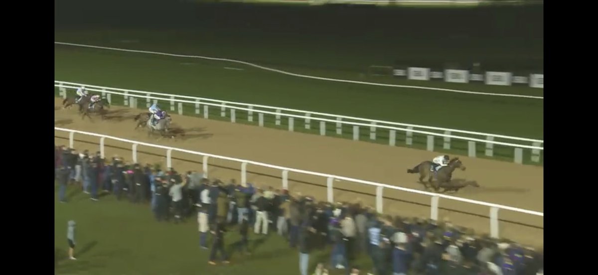 Nose In Front tweet media