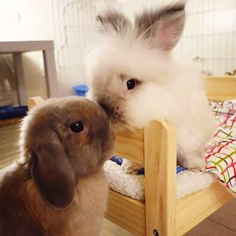 minbin files ♡ tweet media