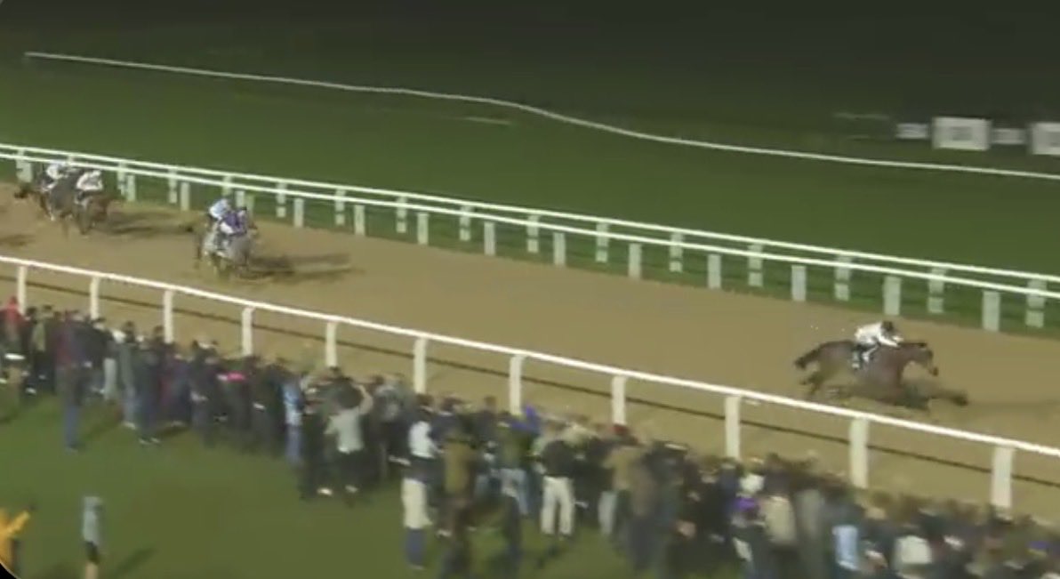 the racing newsletter tweet media