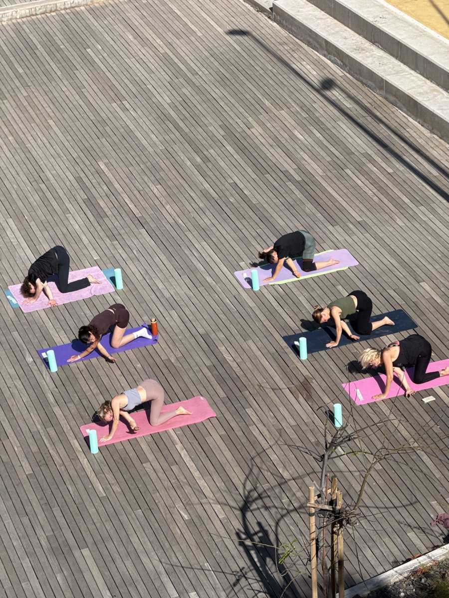 CanIslandsGreen's tweet photo. Strong people build strong communities 💚

Proud to collaborate with @ Escape fit by Maggie — because movement, mindset &amp; sustainability go hand in hand 🌍💪

#CanaryGreen #FitByMaggie #MoveWithPurpose #SustainableLiving https://t.co/vJdL8j34K8