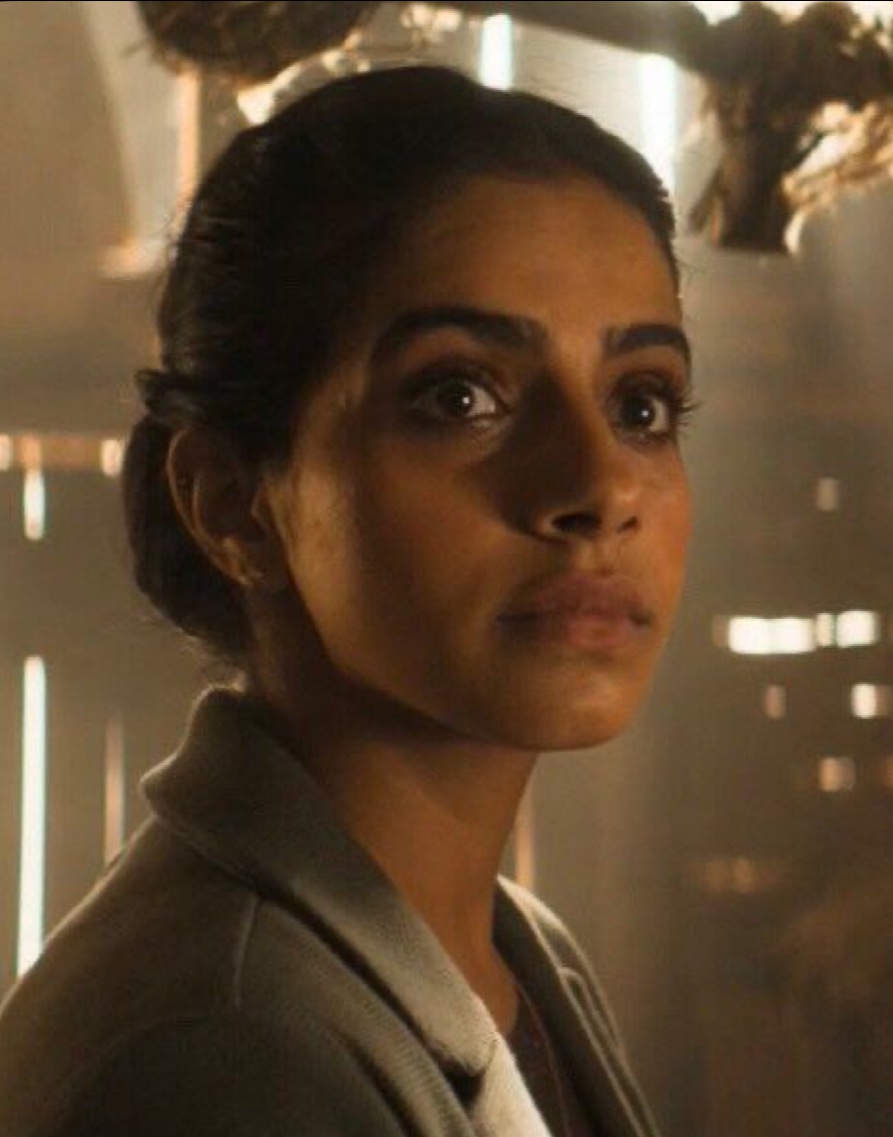 i really like when the doctor just imprints on the first person they see after regenerating like a newly hatched duckling