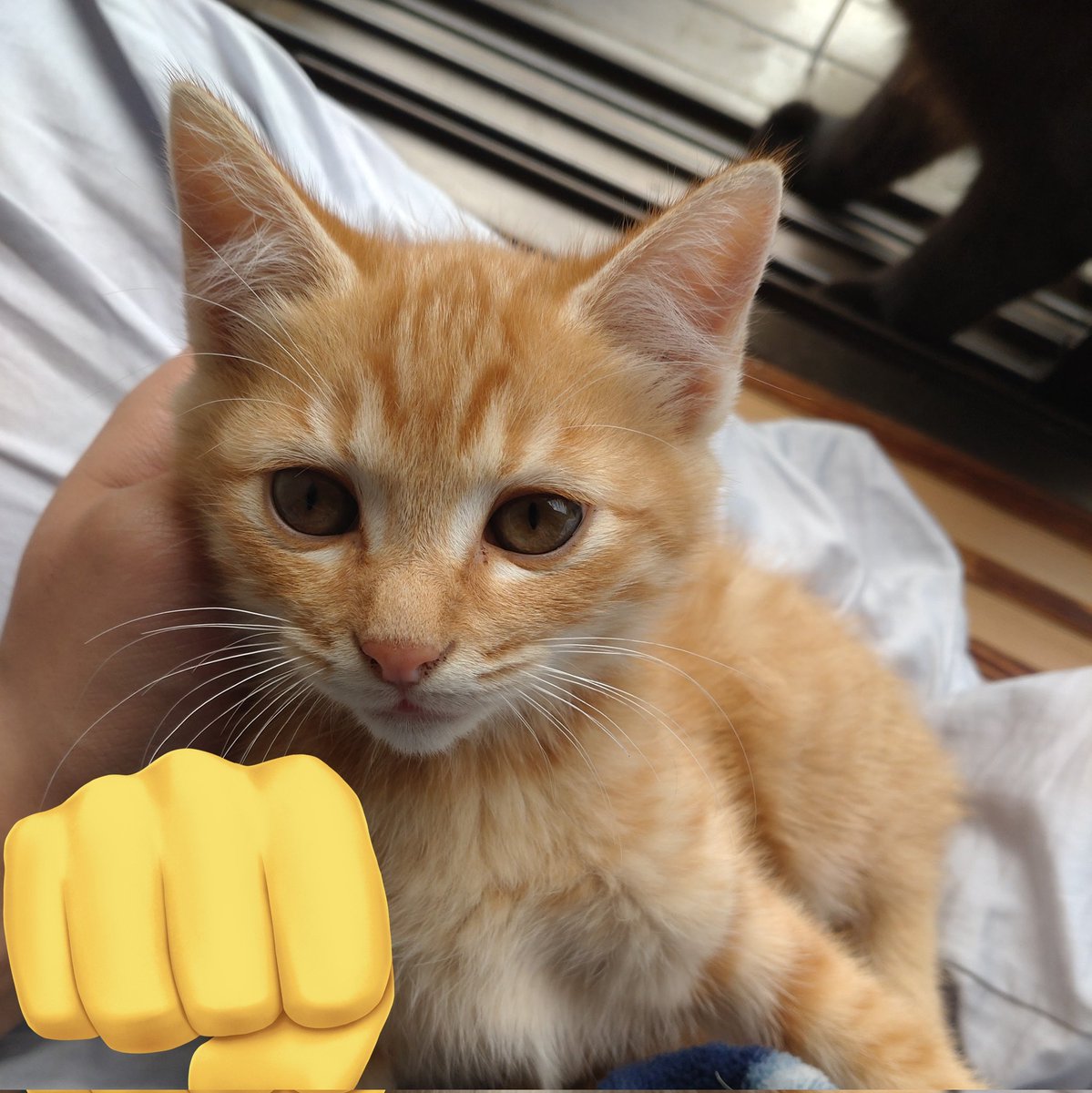 大吉(@b_nj1x9) on X