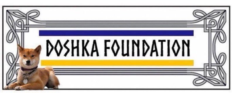 Doshka Foundation 🇫🇷🇺🇦 tweet media