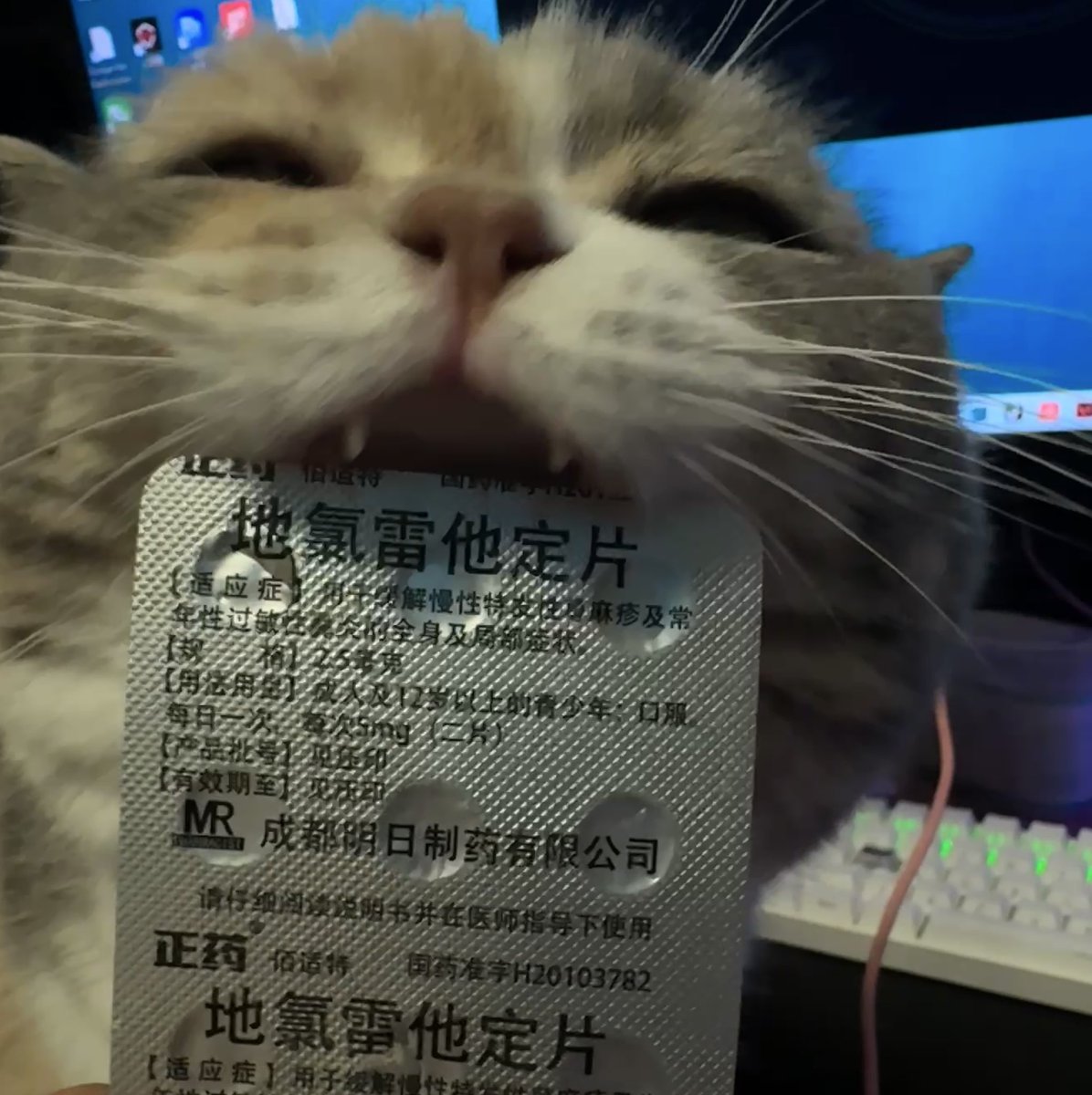 包包包好运 tweet media