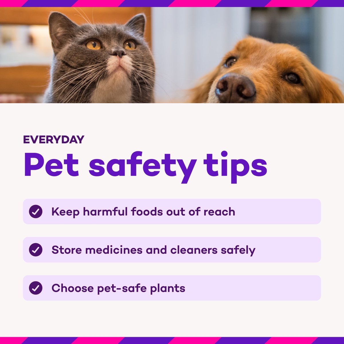 Policy Expert tweet media