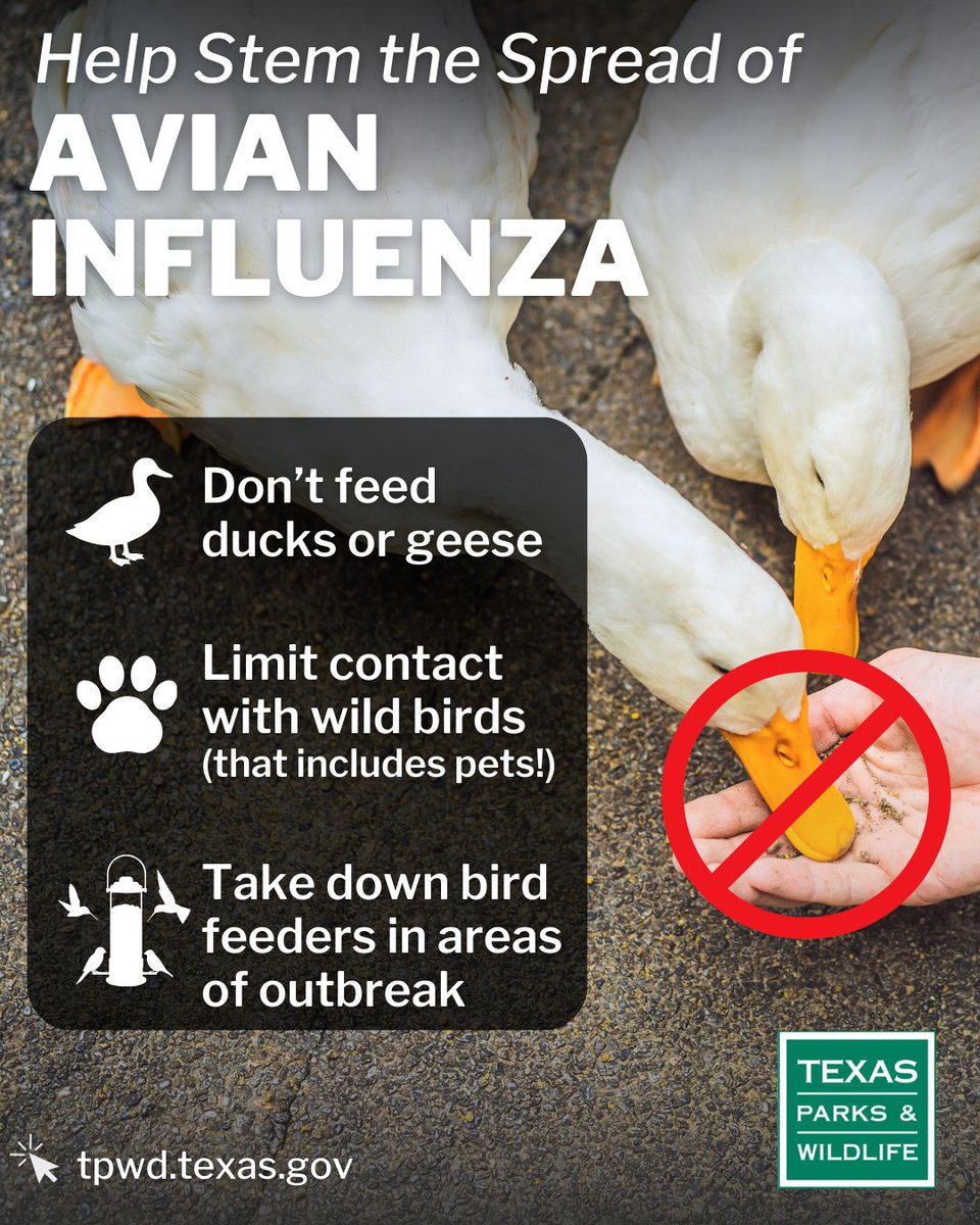 Texas Parks & Wildlife tweet media