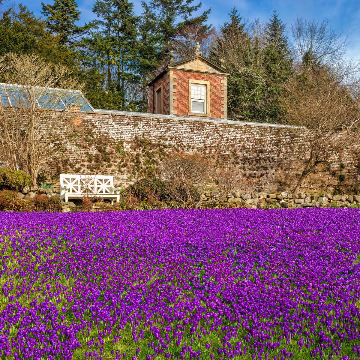 Graeme Peacock tweet media
