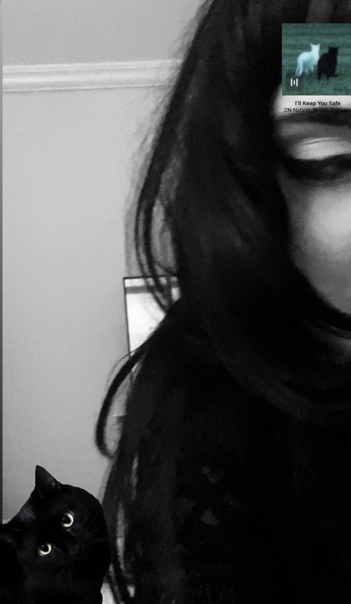 0tri2's tweet image. meaw