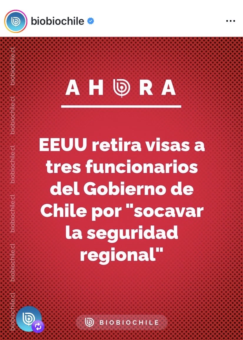 Andrea Brucher tweet media