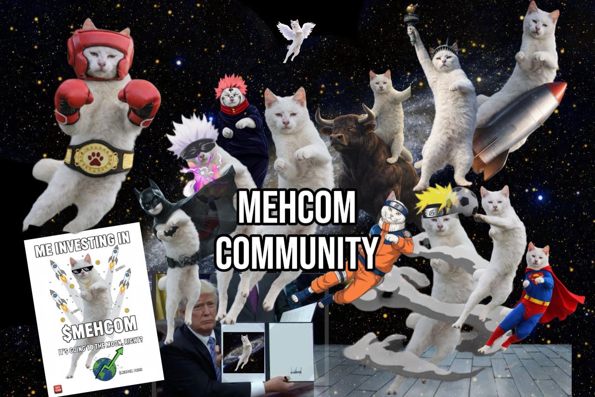 MEHCOMBAT's tweet image. Gm.

MEHCOM is the hottest project right now — it’s just under the radar.

Those who get in at launch won’t regret it.

#MEHCOM