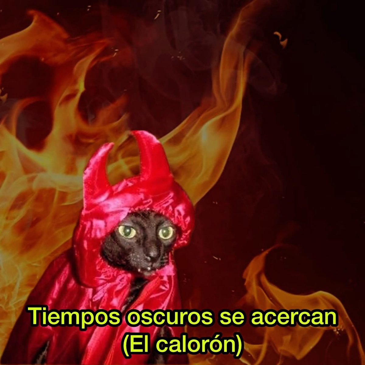 Salvador Iglesias Jr (@javisness) on Twitter photo 