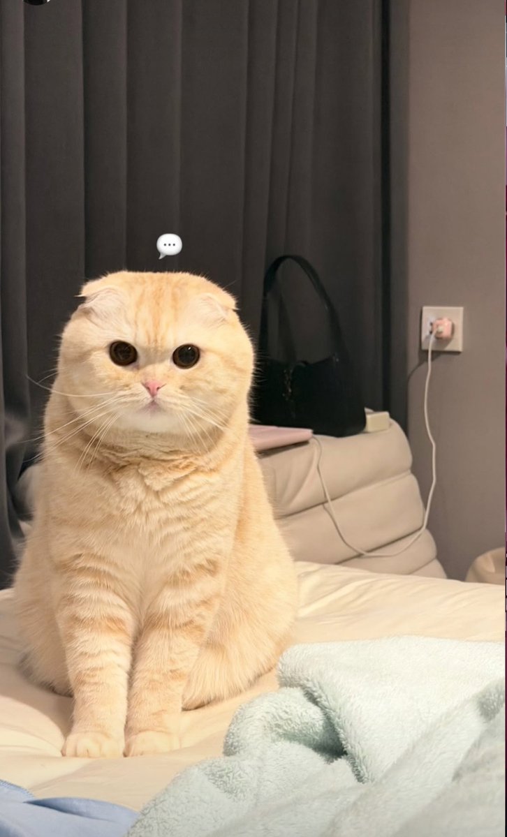 “Mommy… after being gone forever, why did you come back with this tall human?”

FAYMAY BRIGHT X2 WITH BABYBRIGHT
#BabyBrightxFayMay