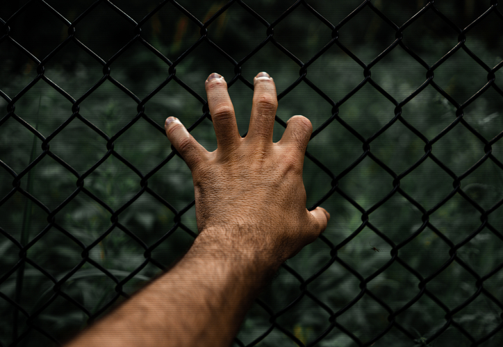 Delcy Rodríguez promulga ley de amnistía para presos políticos dlvr.it/TR4JdP