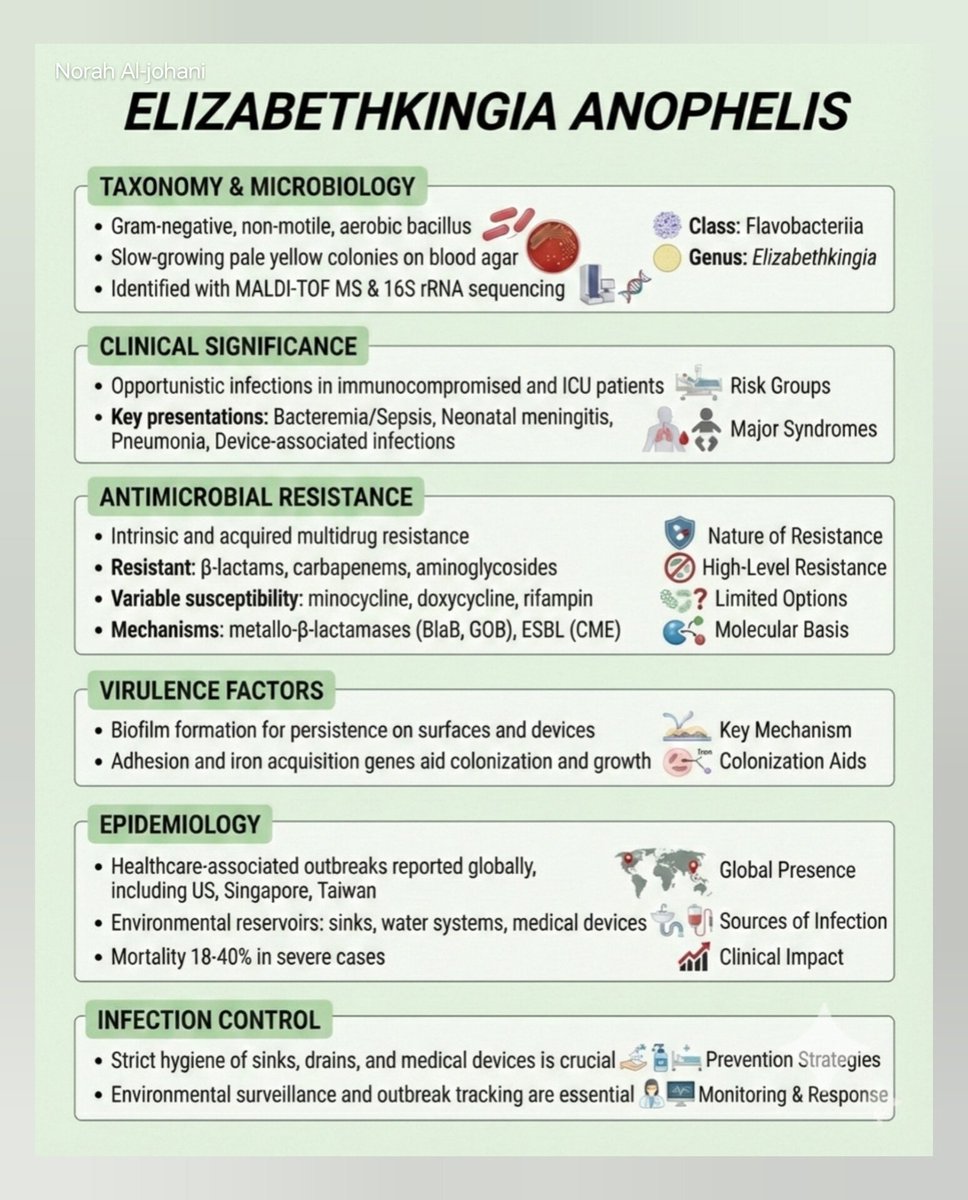 Norah Al-johani tweet media