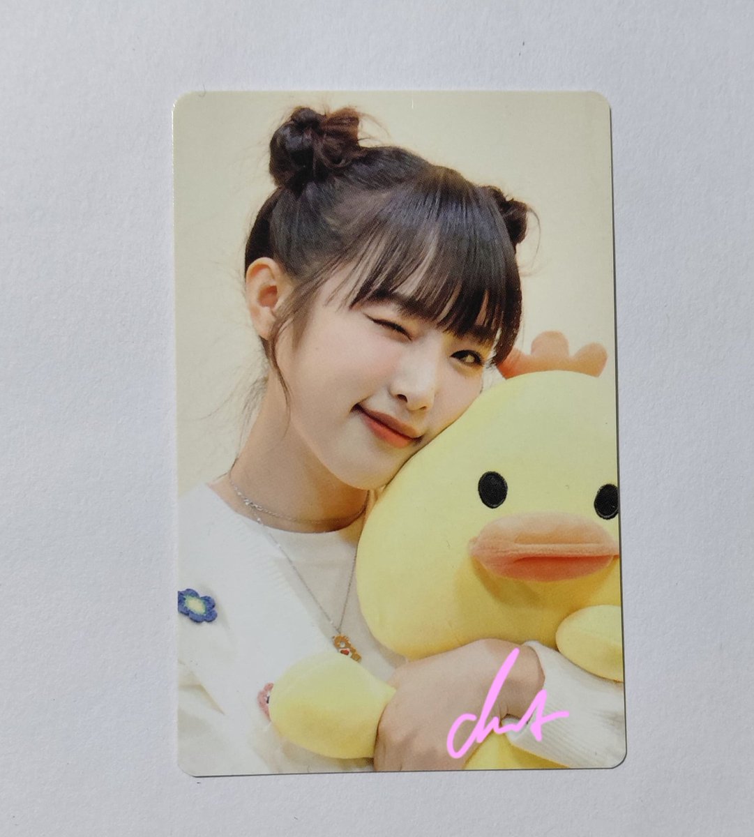 ⤷ PC SET ANIMAL DETECTIVE YENA 250k