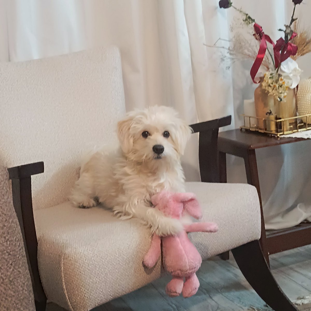 چطور دلت اومد امشب طرفش اسلحه بگیری و شلیک کنی ؟😭😭😭😭بدون هیچ بهونه ای.
حرومزاده ، کثافت .
قفسه ی سینه م از شدت ترس قفل کرده انگار .
اگه بهش خورده بود من مرده بودم .
شاید تا آخر عمر از یادم نره .
همینجا میگم من تا این حرومزاده ها گورشون رو گم نکنند دیگه از خونه بیرون نمی‌رممم.