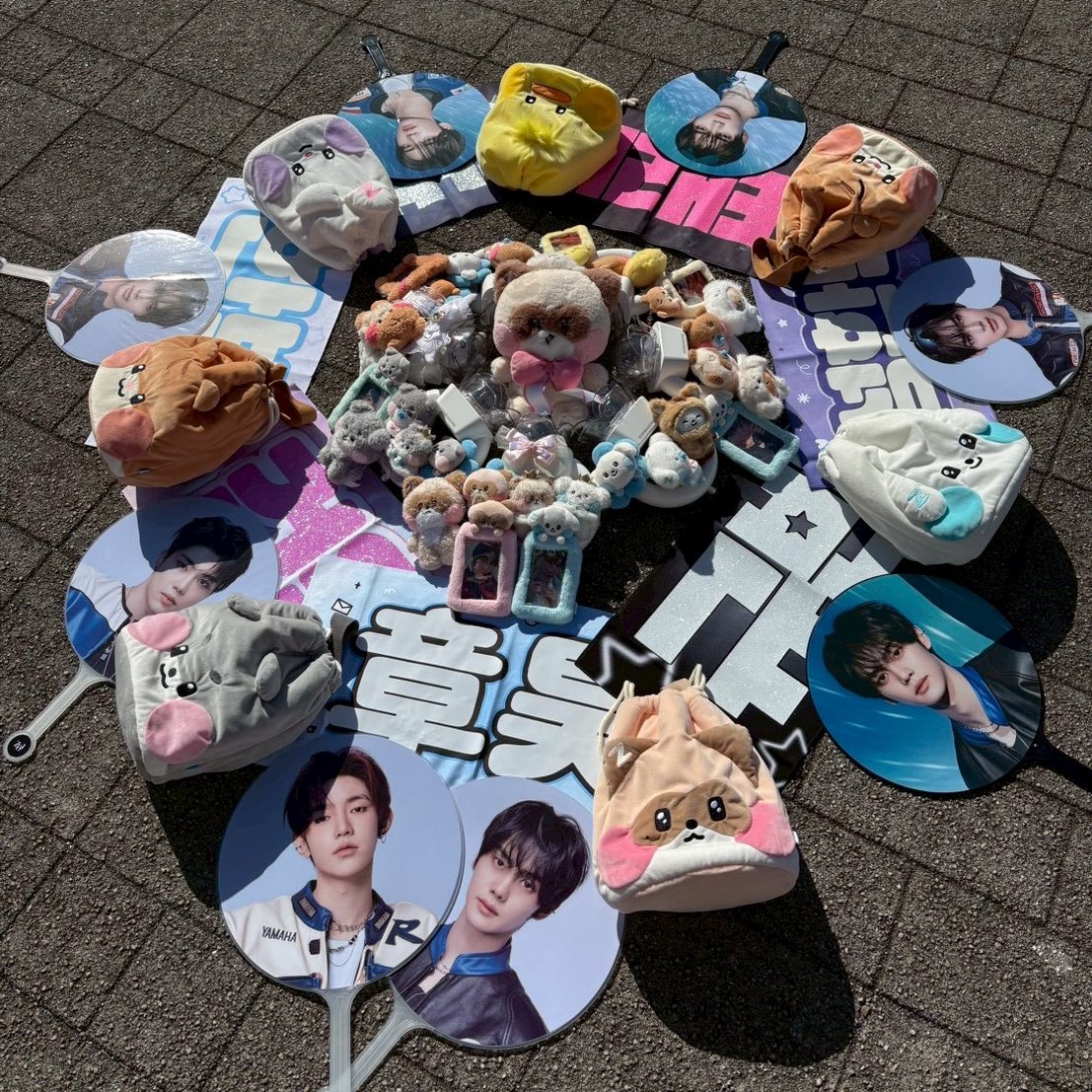 2026 ZEROBASEONE WORLD TOUR [𝗛𝗘𝗥𝗘&amp;𝗡𝗢𝗪] ENCORE IN KANAGAWA 

初期から仲良くしてくれてるゼロズ、スペで繋がったゼロズ、最後全員とは会えなかったけど仲良くしてくれてありがとう🥲

たくさんの愛をもらえて幸せでした
9人全員がこれからも花道を歩きますように🌸