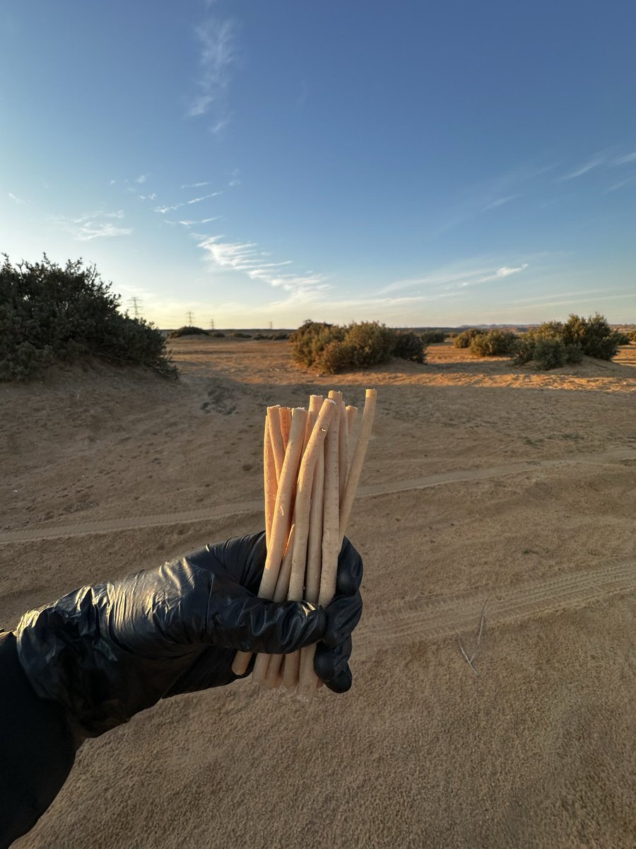 متجر ابو حنش للسواك tweet media