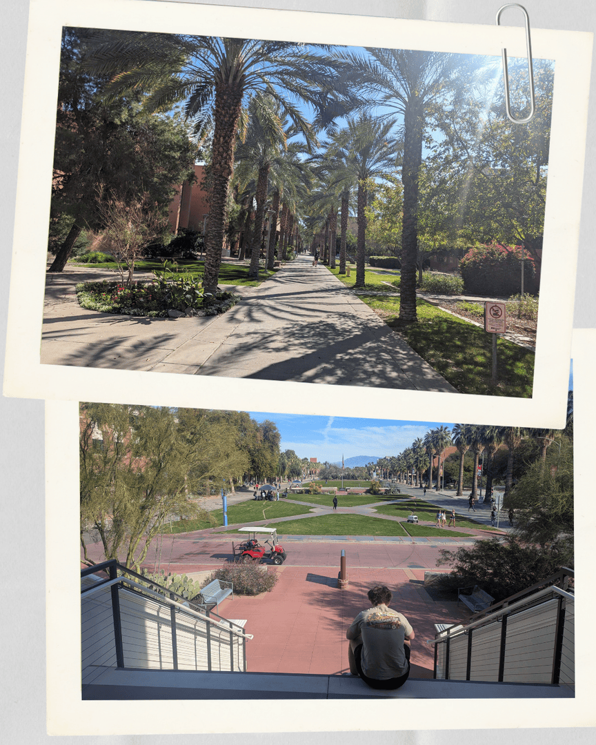 TheWeaponry's tweet photo. Weapons in the Wild! Sometimes in the middle of winter, you just need a little recharge.

🇮🇹 Adam and his family explored Italy over Christmas break.
☀️ Taylor and her husband soaked up the sun in Hawaii.
📚 Simon and his son Max visited colleges in Arizona. https://t.co/DeXB8ILK5m