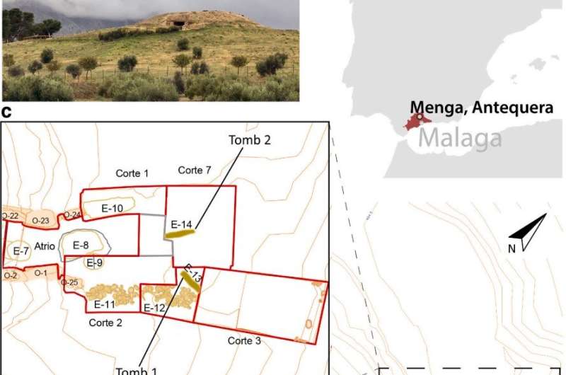 MMackeyAuthor's tweet image. Medieval burials shed light on Menga dolmen's multicultural significance over thousands of years

tinyurl.com/yc7ajw3z

#Neolithic #NeolithicPeriod
