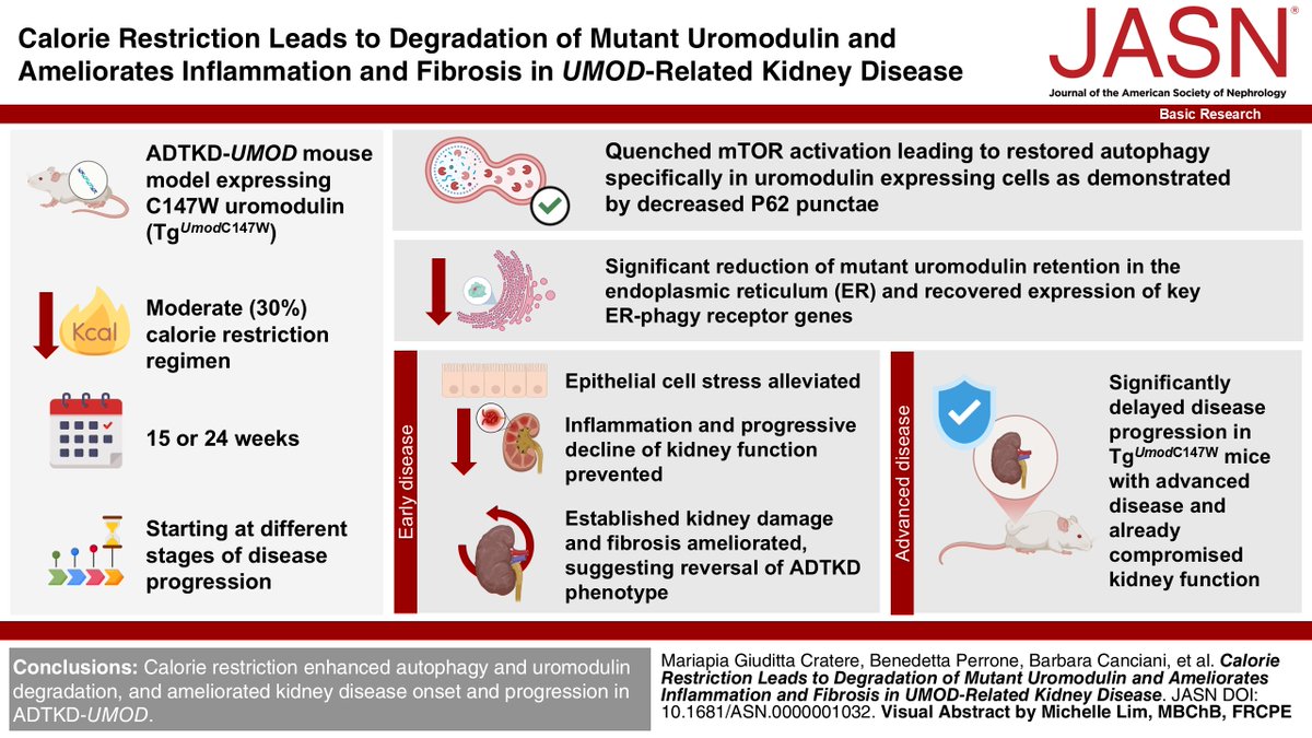 ASN Publications tweet media
