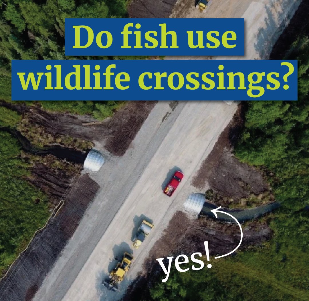 Environment America tweet media