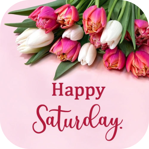 Adam Withey tweet media